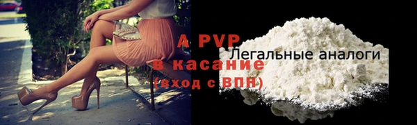 ГАЛЛЮЦИНОГЕННЫЕ ГРИБЫ Вяземский