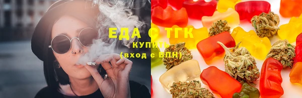 ГАЛЛЮЦИНОГЕННЫЕ ГРИБЫ Вяземский
