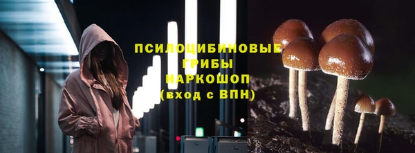 ГАЛЛЮЦИНОГЕННЫЕ ГРИБЫ Вяземский