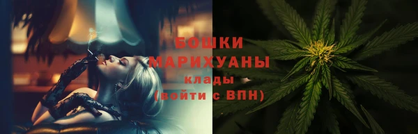 ГАЛЛЮЦИНОГЕННЫЕ ГРИБЫ Вяземский