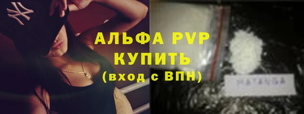 ГАЛЛЮЦИНОГЕННЫЕ ГРИБЫ Вяземский