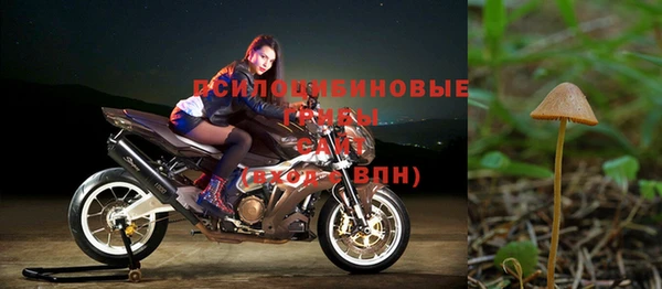 ГАЛЛЮЦИНОГЕННЫЕ ГРИБЫ Вяземский
