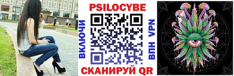 kraken маркетплейс  Новохопёрск  Галлюциногенные грибы Cubensis  как найти закладки 