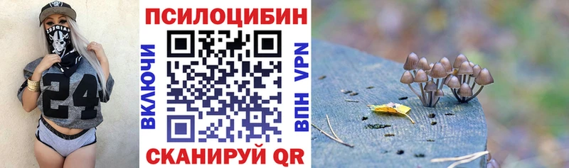 Галлюциногенные грибы Magic Shrooms Новохопёрск